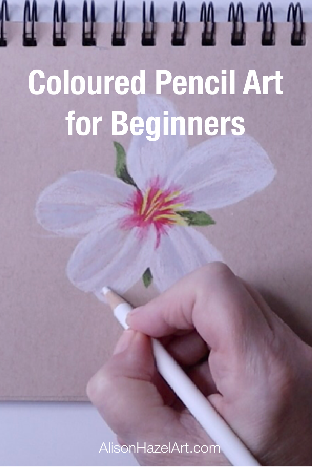 Coloured pencil art