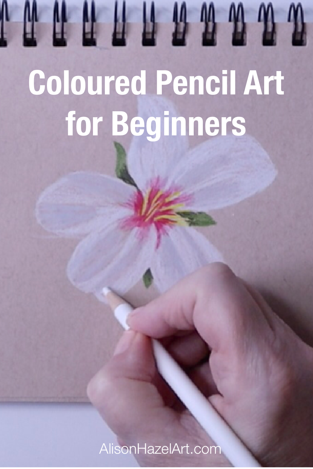 F386B58F-7E97-4ED8-936D-697E3A9D0B64 Coloured pencil art