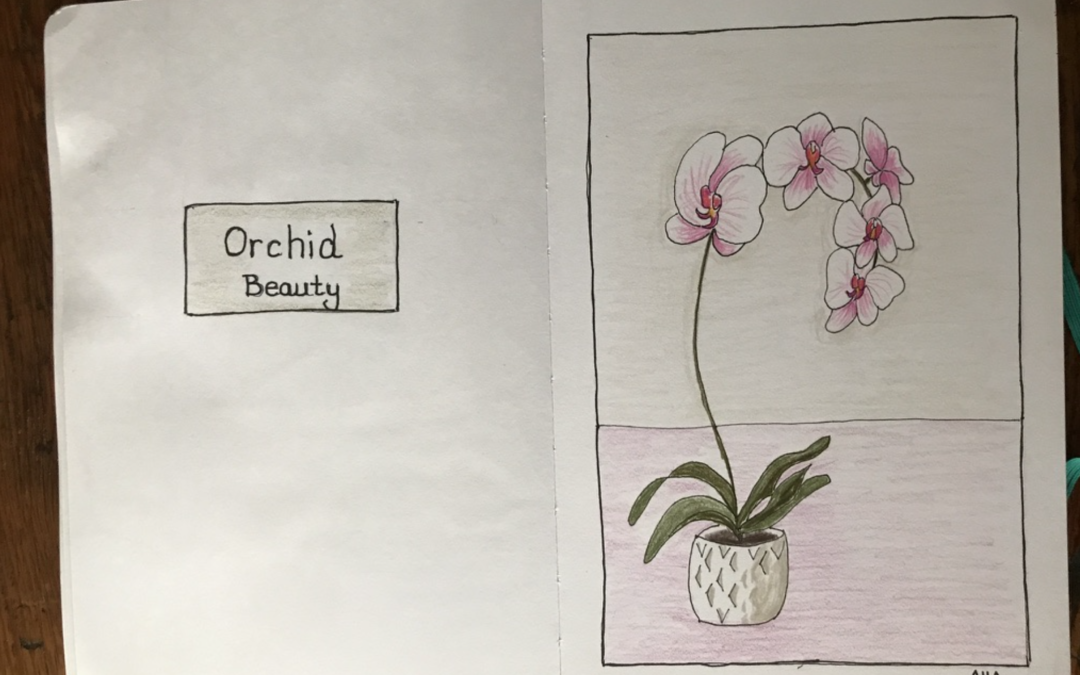 Sketchbook – Orchid with Colored Pencils