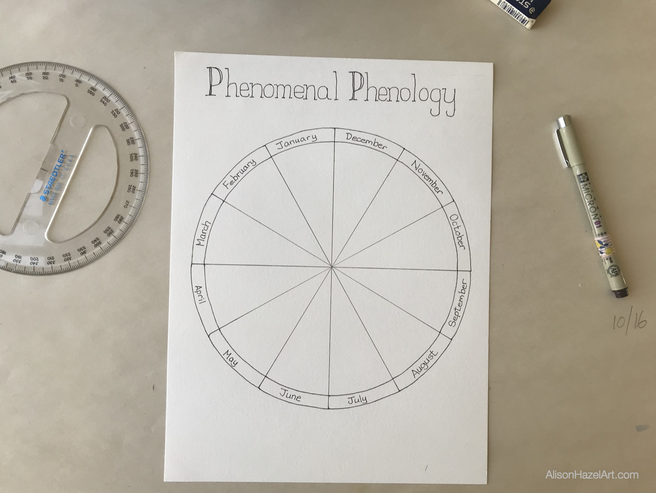 Phenology Wheel