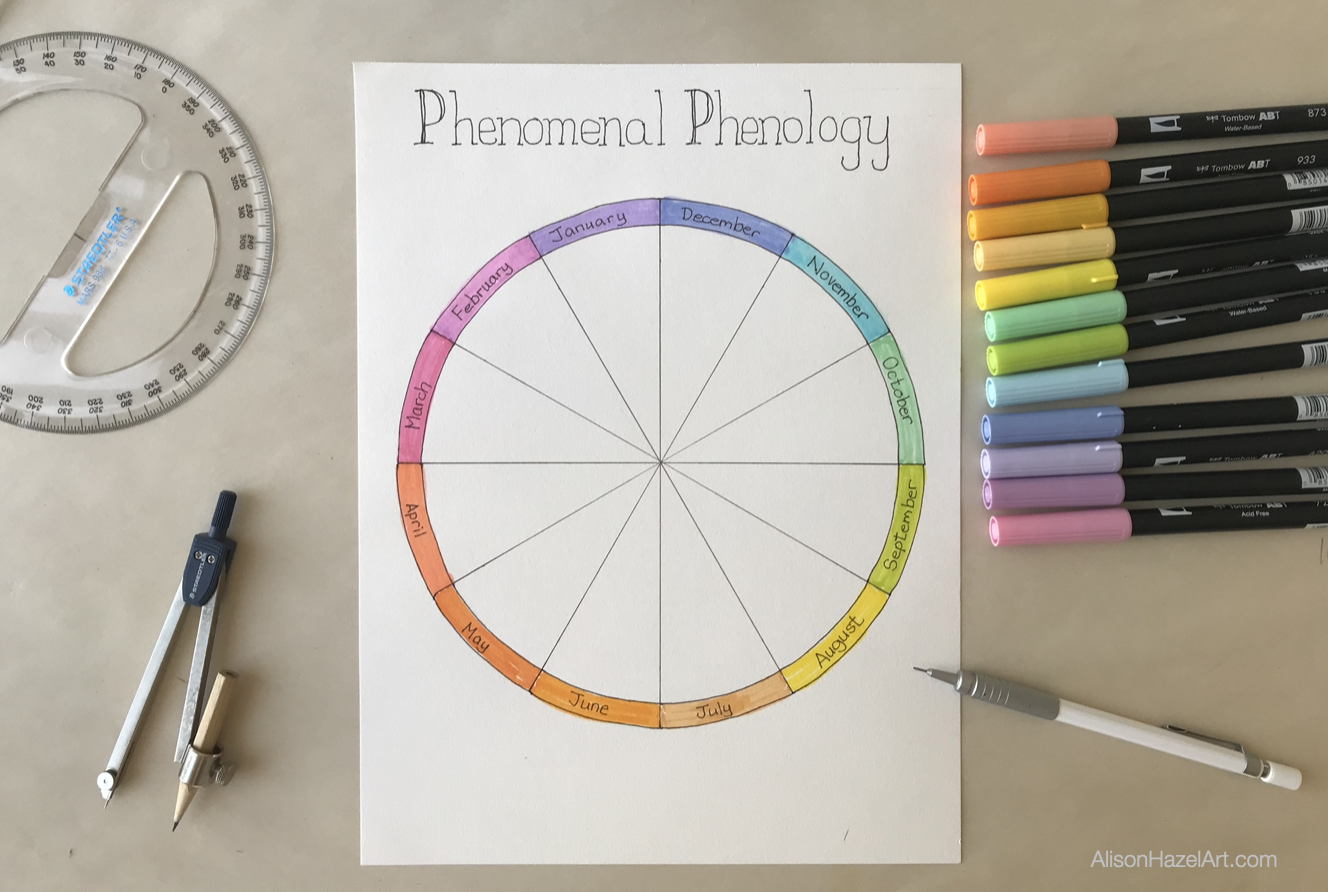 Phenology Wheel