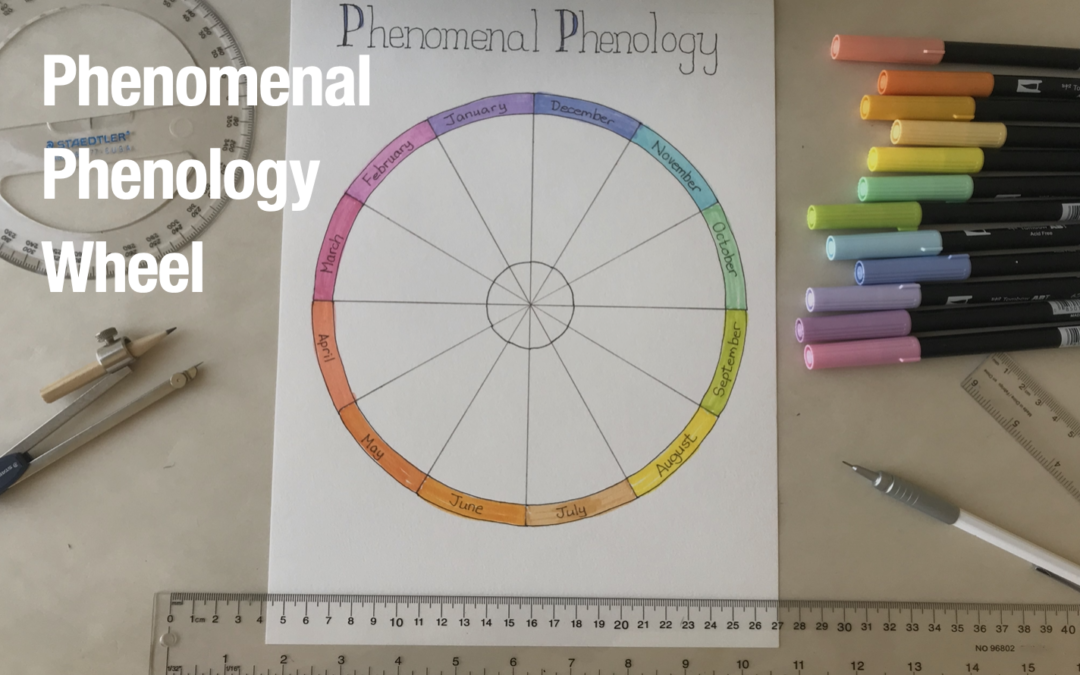 Phenomenal Phenology Wheel