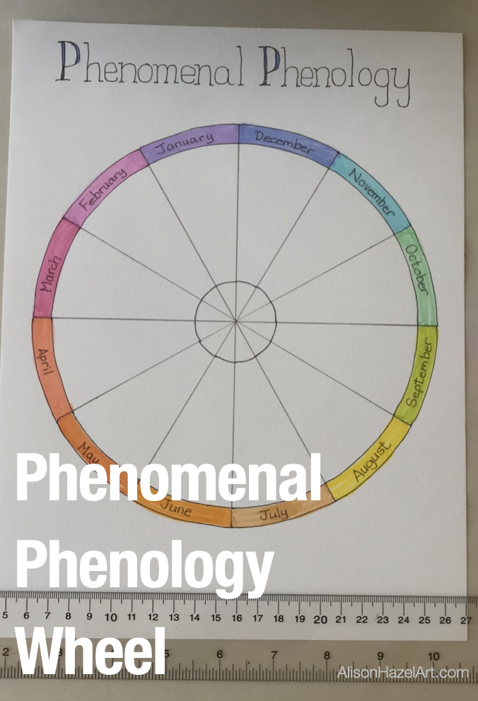 Phenology Wheel