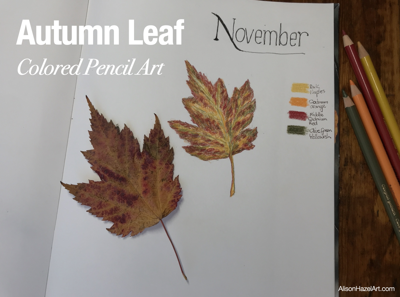 Autumn Leaf Alison Hazel Art