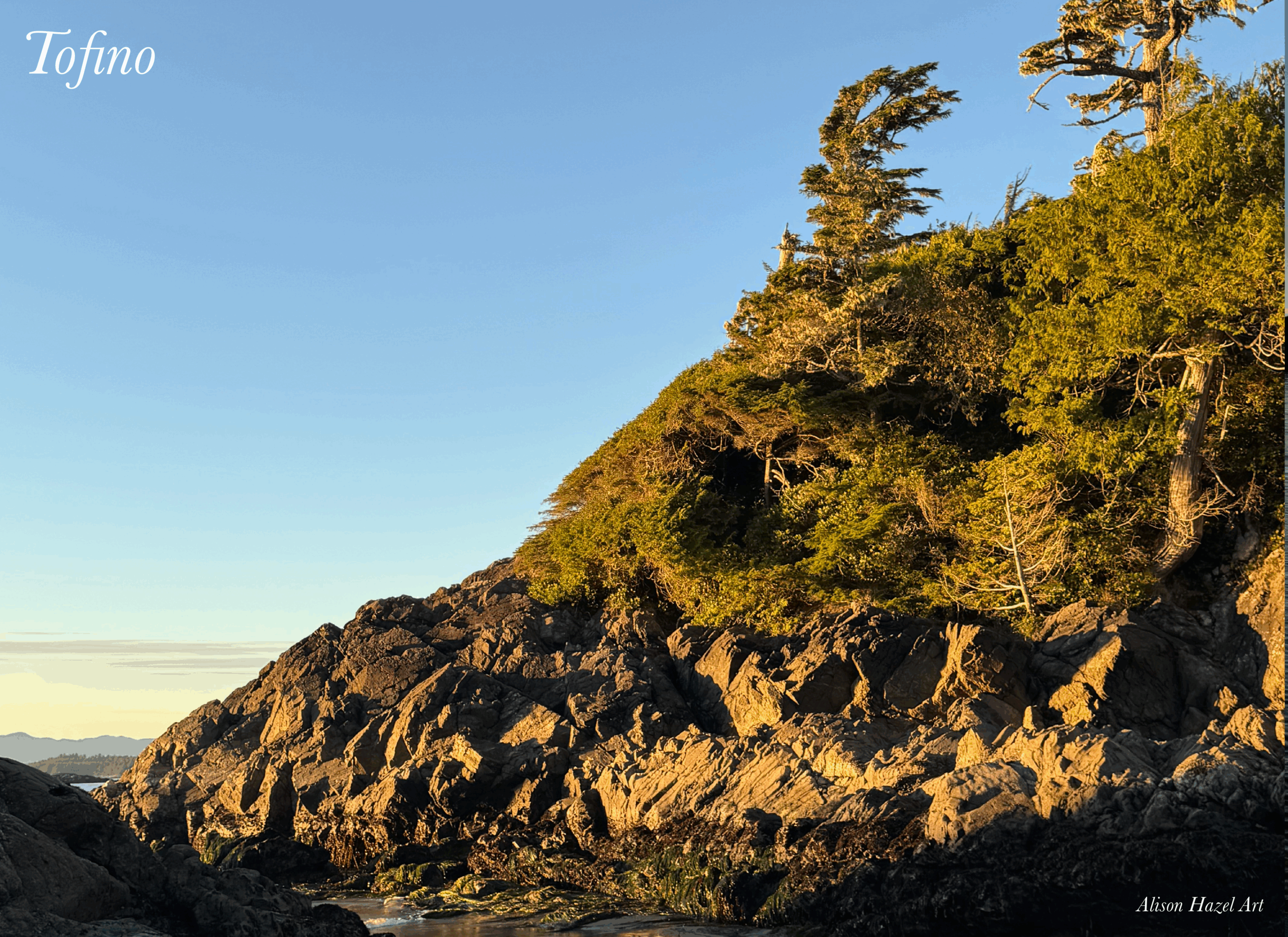 Tofino Forest and Ocean