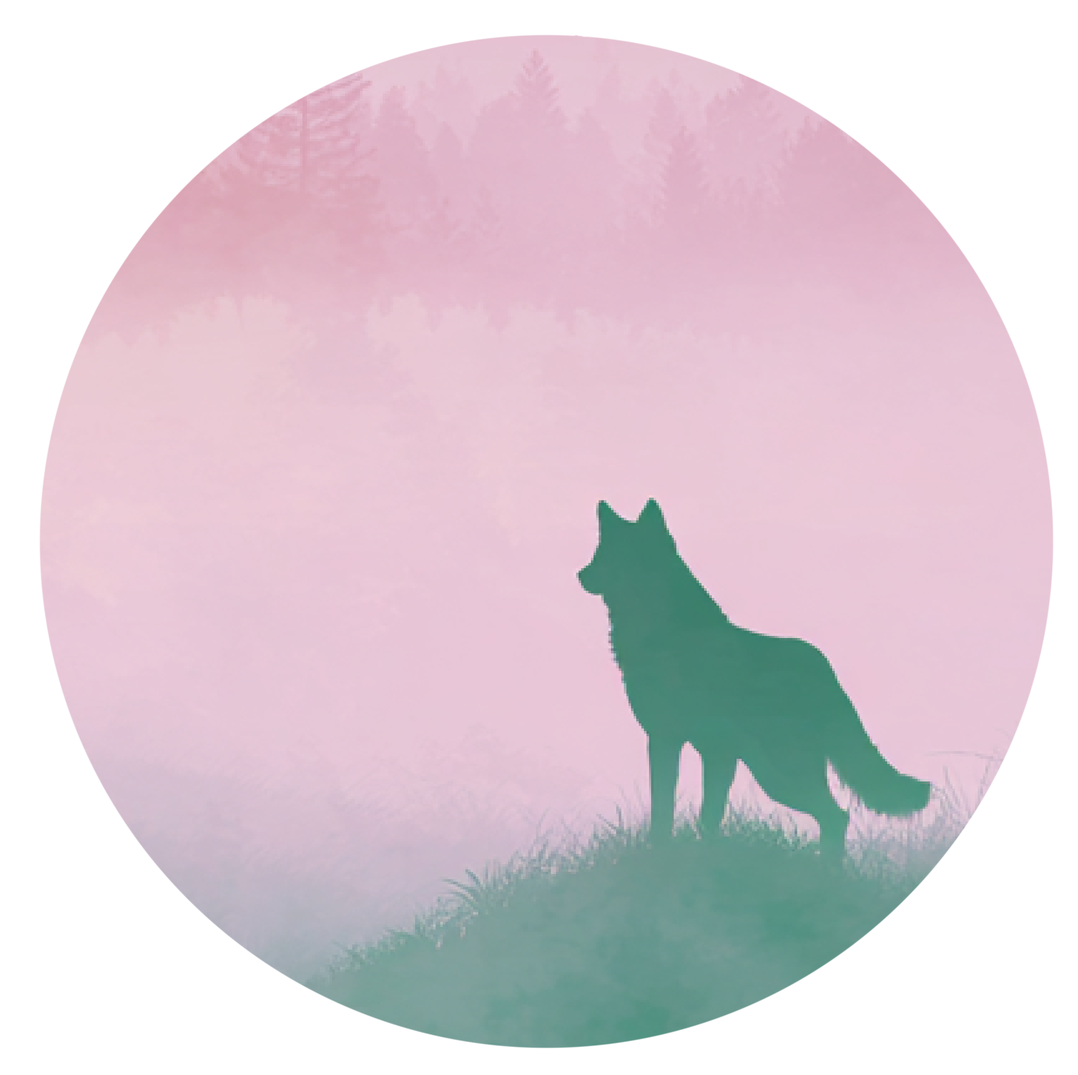 Wolf in the Fog Tofino