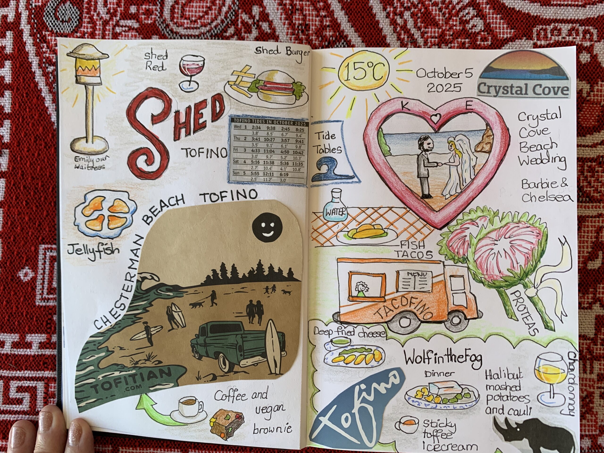 Tofino Sketchbook 2 Tofino-sketchbook-2
