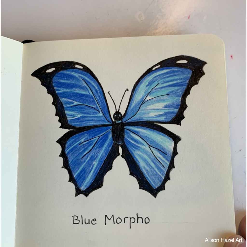 blue-butterfly